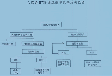 H7N9禽流感早检早治流程.jpg